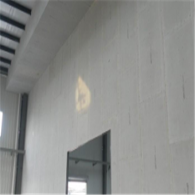 渝中新型建筑材料掺多种工业废渣的ALC|ACC|FPS模块板材轻质隔墙板